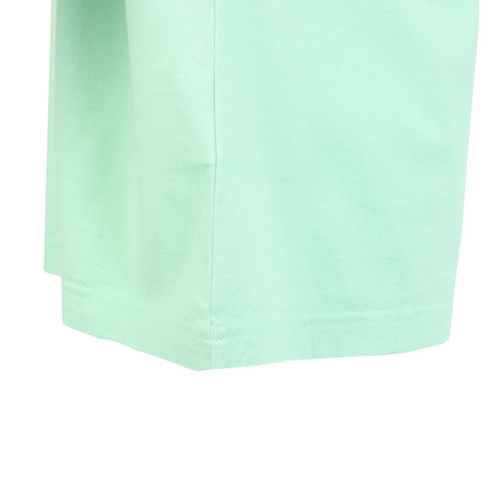 エクストララージ（XLARGE）（メンズ）キッズプリント メンズ 半袖Tシャツ 101252011021-LtGREEN