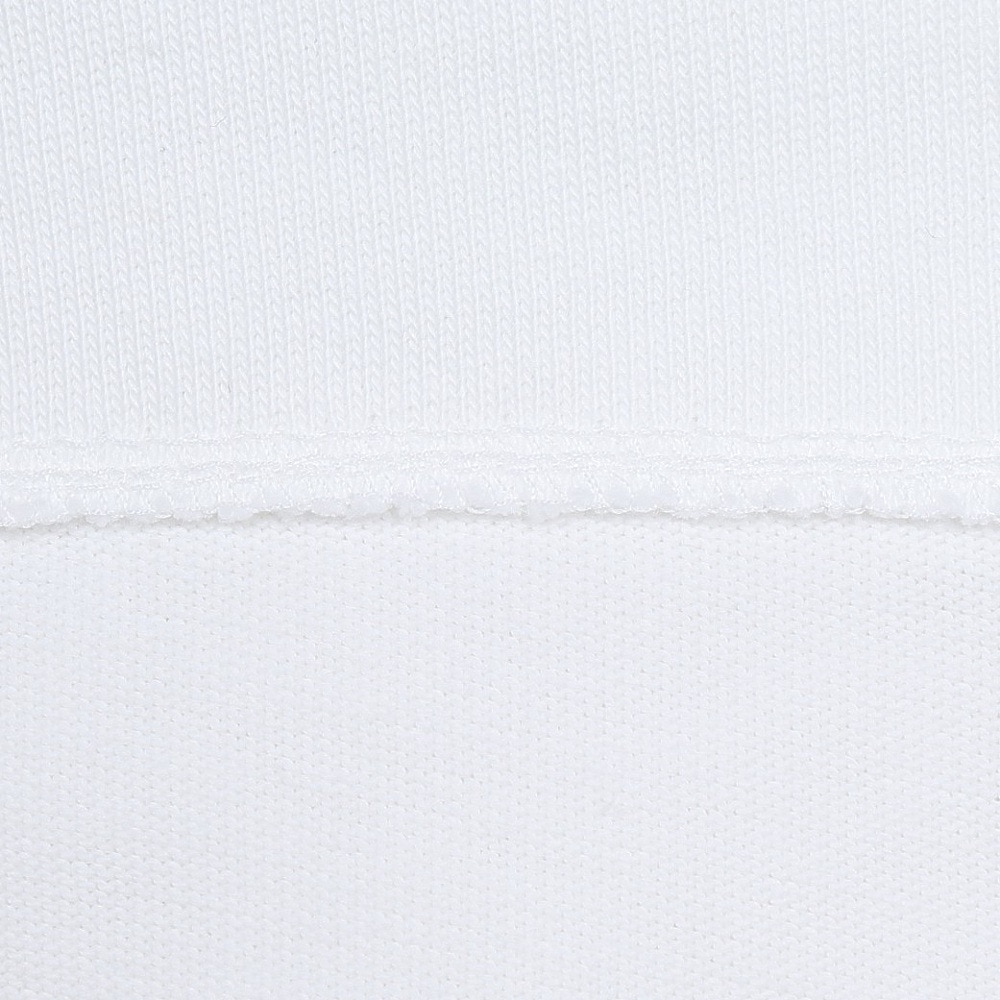 ラコステ（LACOSTE）（メンズ）アウトラインクロッククルーネックTシャツ TH5582-99001