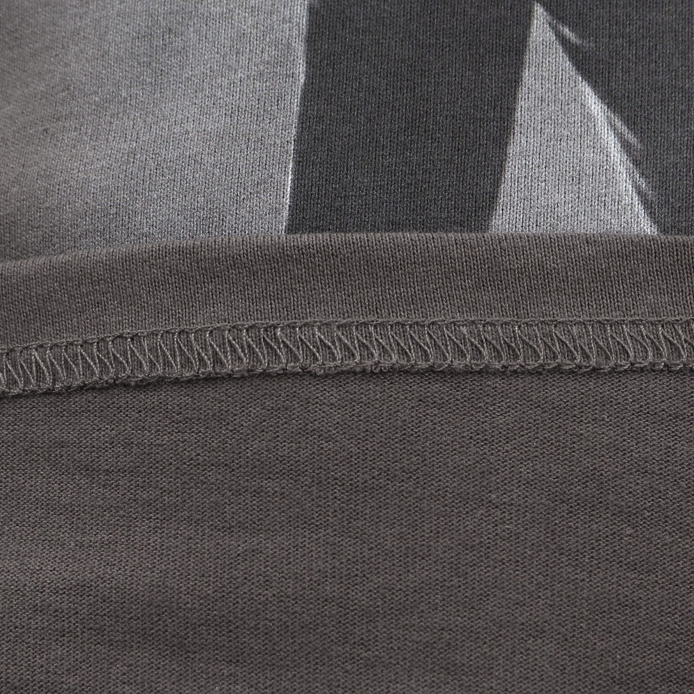 その他ブランド（OTHER BRAND）（メンズ）マイケルジャクソン SILVER箔プリントTシャツ 5515024-02 CHA