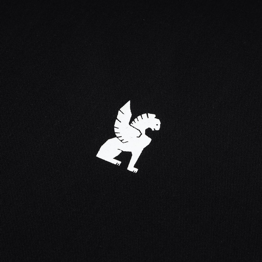 クロム（CHROME）（メンズ）2℃マイナス LIMESTONE CAVE Tシャツ STACKED LOGO JP235BK