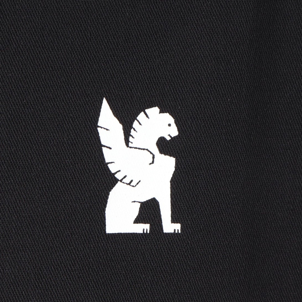 クロム（CHROME）（メンズ）2℃マイナス LIMESTONE CAVE Tシャツ STACKED LOGO JP235BK