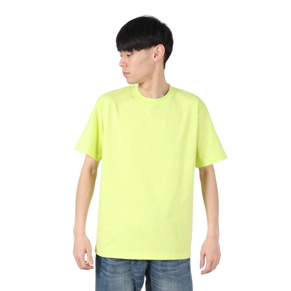 ヘインズ（Hanes）（メンズ）BEEFY PLANE 半袖Tシャツ H5180 735