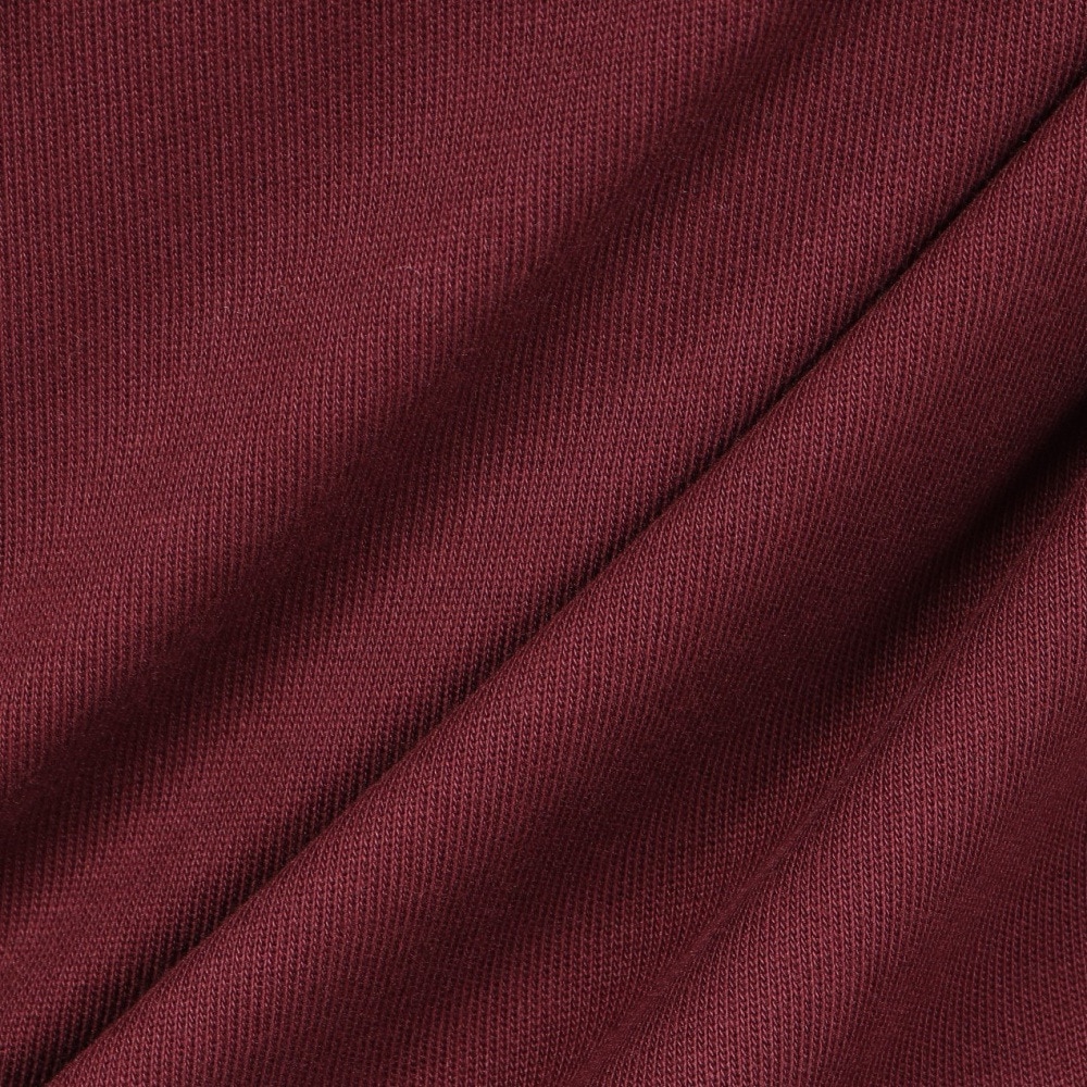 ラコステ（LACOSTE）（メンズ）裏パイルジップ 長袖 ポロシャツ DH9347-99BZD