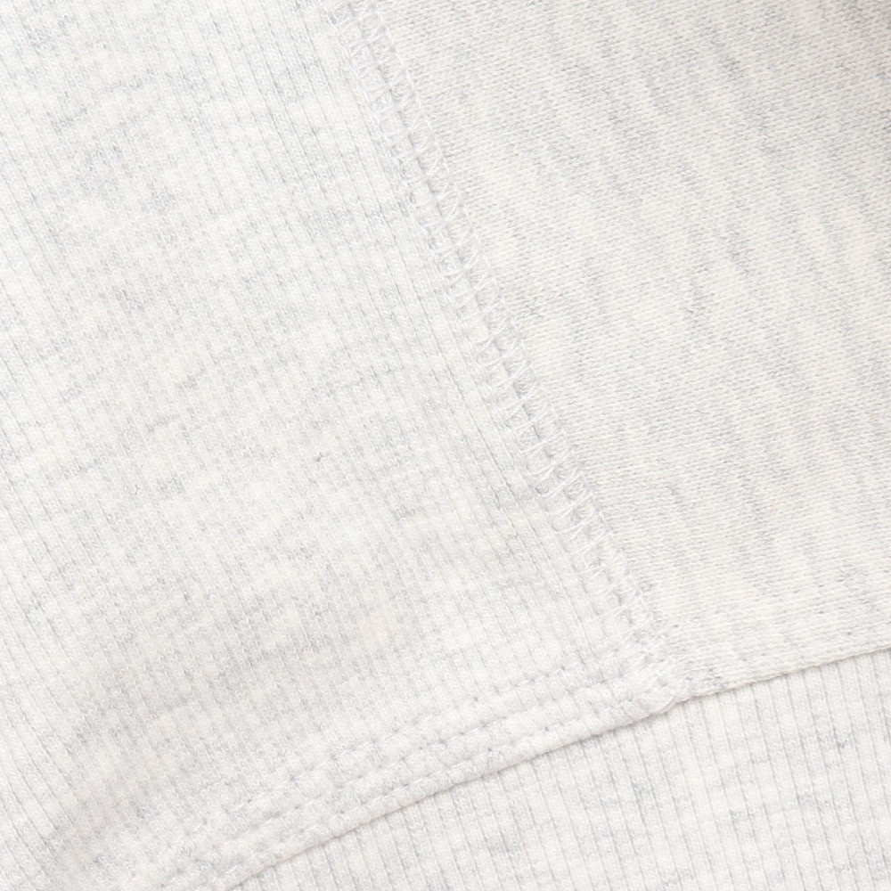 カーハート（CARHARTT）（メンズ）AMERICAN SCRIPT SWEATSHIR I025475482XX22FW