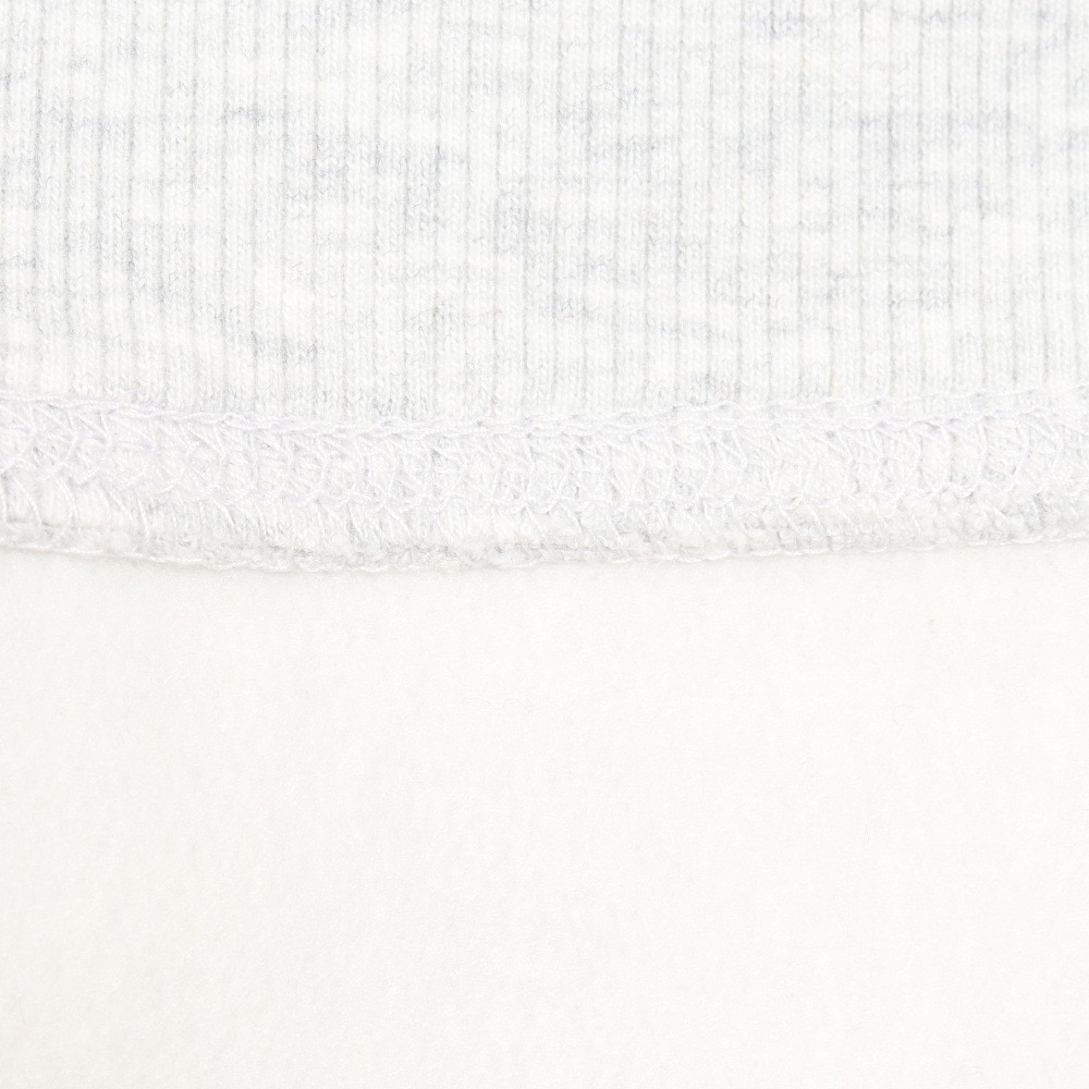 カーハート（CARHARTT）（メンズ）AMERICAN SCRIPT SWEATSHIR I025475482XX22FW