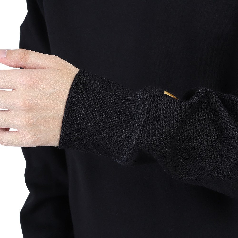 カーハート（CARHARTT）（メンズ）CHASE スウェットシャツ I02638300FXX22FW