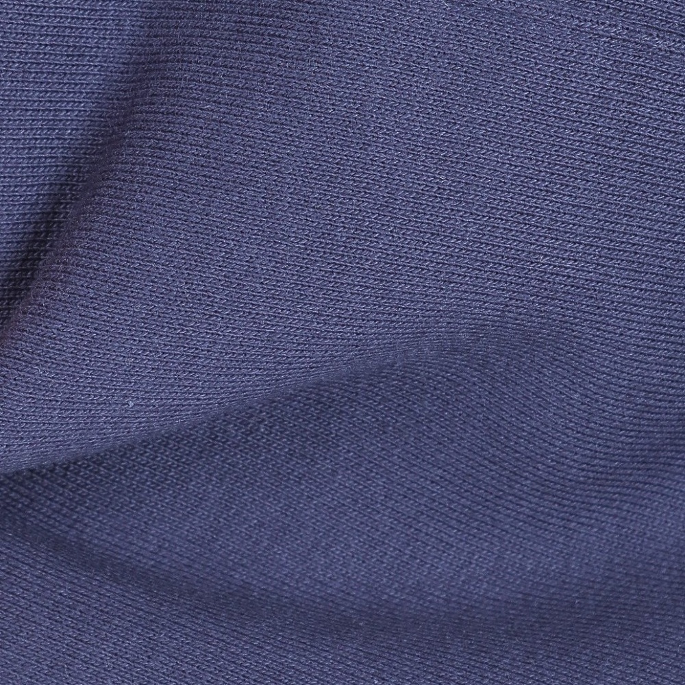 カーハート（CARHARTT）（メンズ）フーデットアメリカンスクリプトスウェットシャツ I0282790WJXX22FW