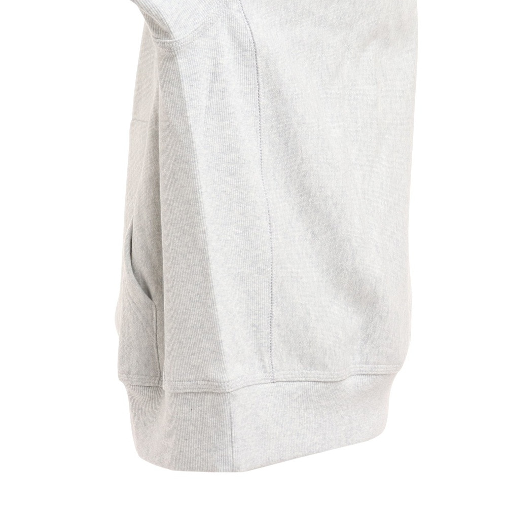 カーハート（CARHARTT）（メンズ）フーデットアメリカンスクリプトスウェットシャツ I028279482XX22FW