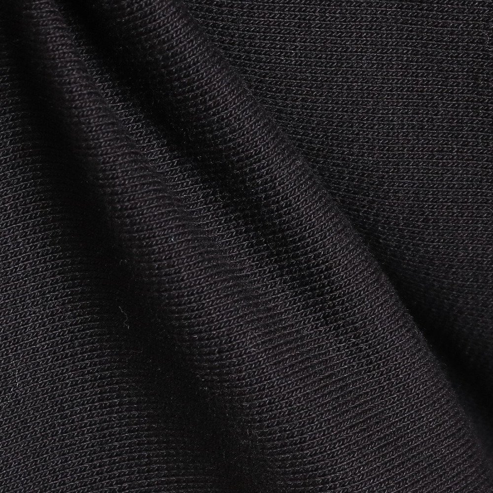 カーハート（CARHARTT）（メンズ）HOODED AMERICAN SCRIPT SWEATSHIRT I02827989XX22FW