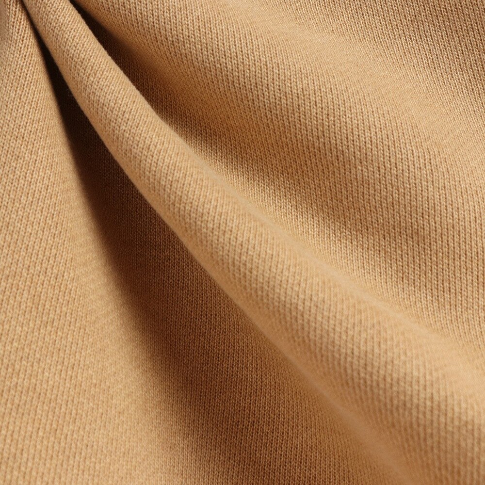 カーハート（CARHARTT）（メンズ）VISTA スウェットシャツ Dusty H Brown I02952207EGD22FW