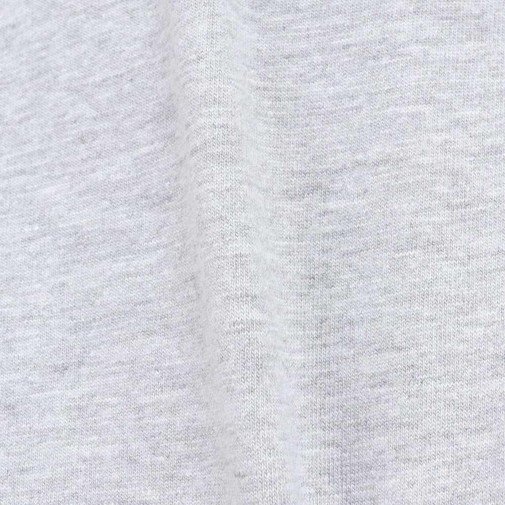 WASTED PARIS（WASTED PARIS）（メンズ）長袖Tシャツ メンズ アイソレイト 23SSD3-07204-005-GY