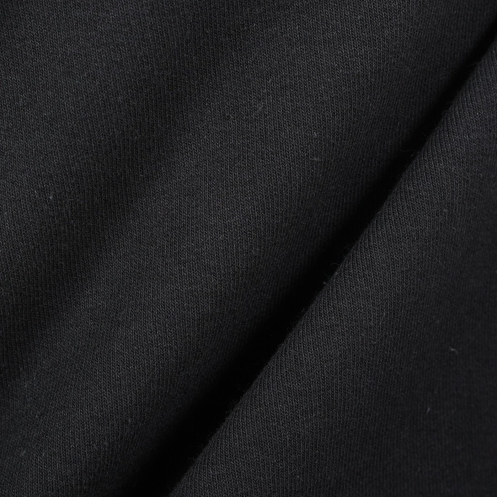 トミー ジーンズ（TOMMY JEANS）（メンズ）カットソー メンズ REGSIGNATURE HALFZIP DM15797-BDS