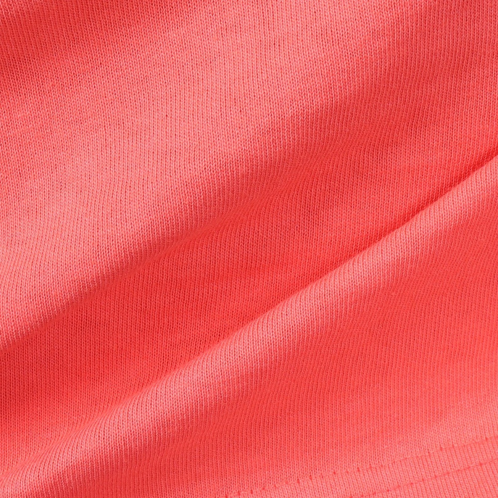 リーフ（REEF）（レディース）HERITAGE ロゴ 半袖 Tシャツ RFTEL2507-CRL
