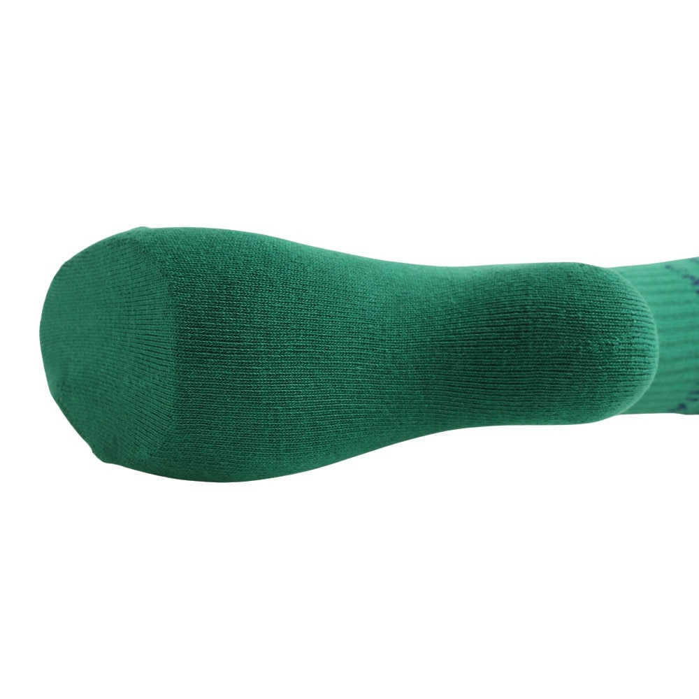 エクストララージ（XLARGE）（メンズ）靴下 カレッジロゴソックス 101231054009-GREEN