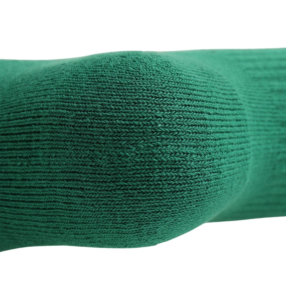 エクストララージ（XLARGE）（メンズ）靴下 カレッジロゴソックス 101231054009-GREEN