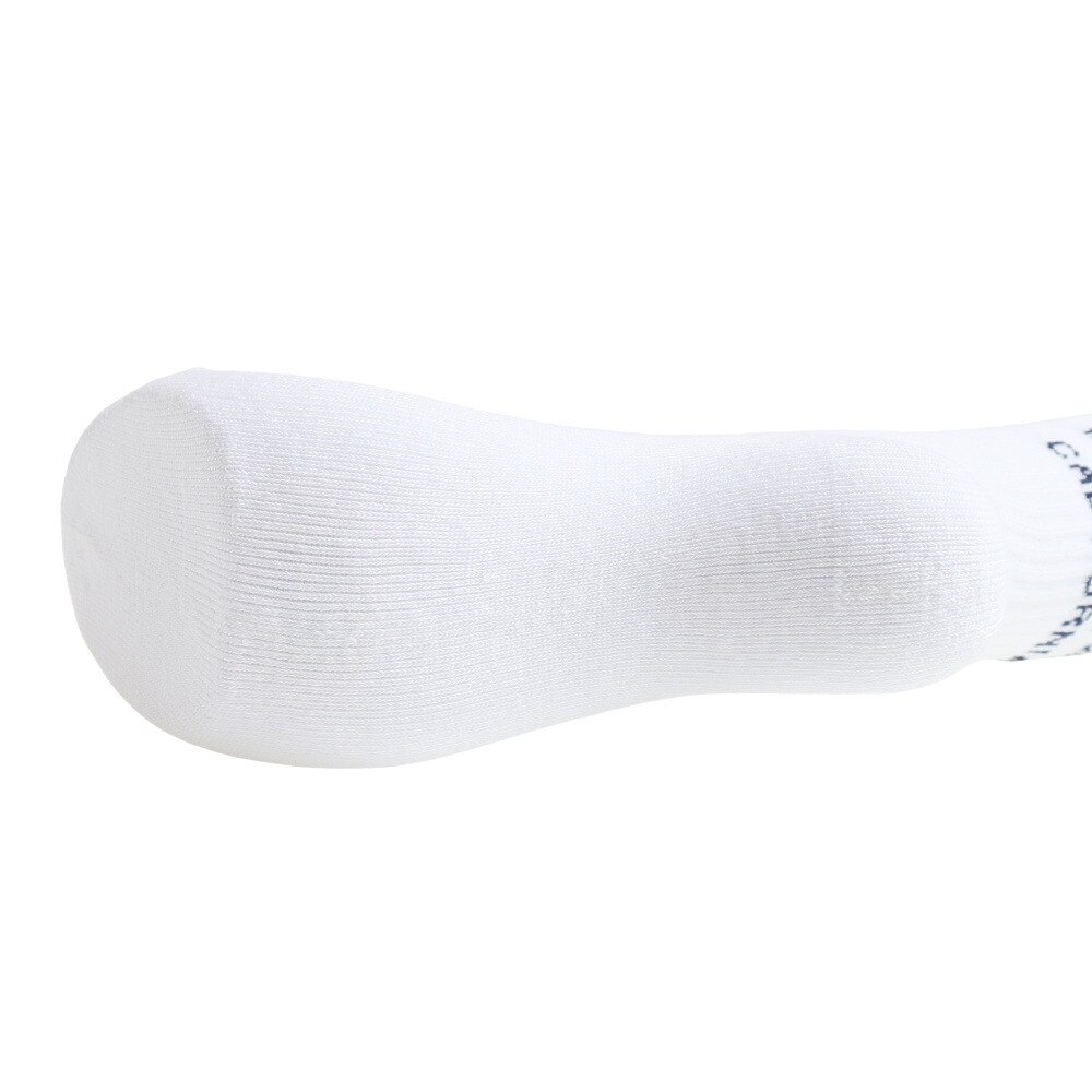 エクストララージ（XLARGE）（メンズ）靴下カレッジロゴソックス 101231054009-WHITE