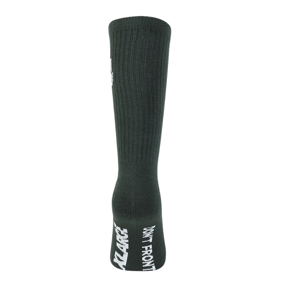 エクストララージ（XLARGE）（メンズ）OG EMBROIDERY ソックス 101241054005-GREEN