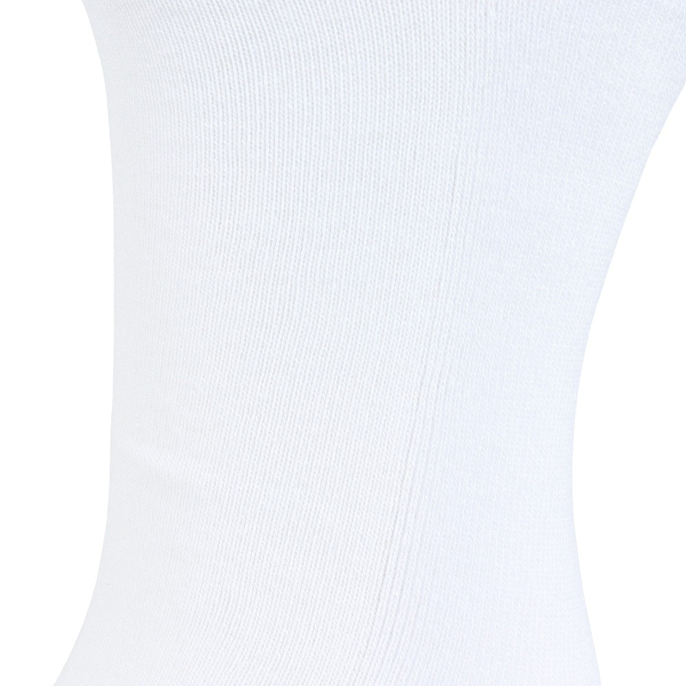 エクストララージ（XLARGE）（メンズ）スタンダード ロゴ ソックス 101241054006-WHITE