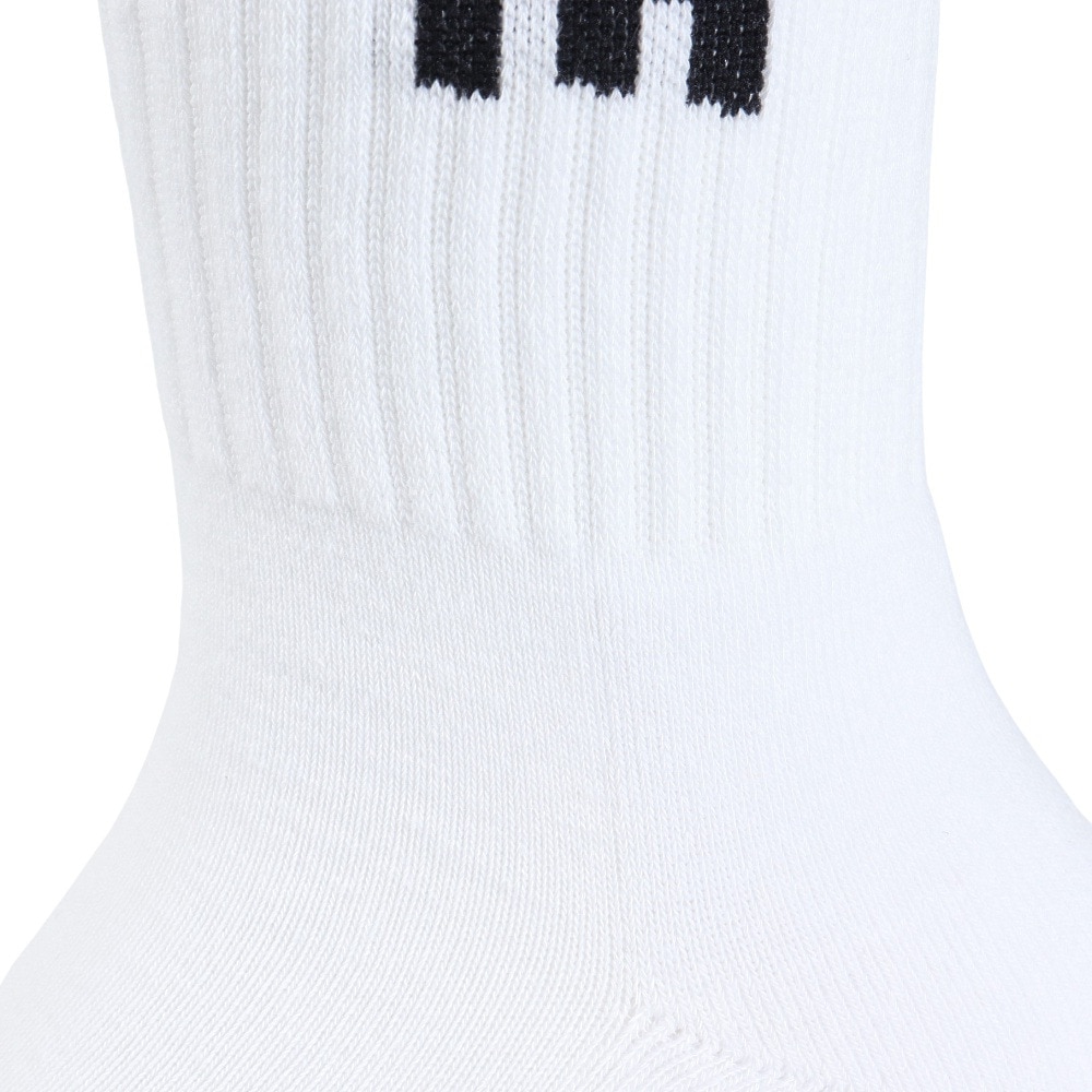 エクストララージ（XLARGE）（メンズ）スタンダード ロゴ ソックス 101241054006-WHITE