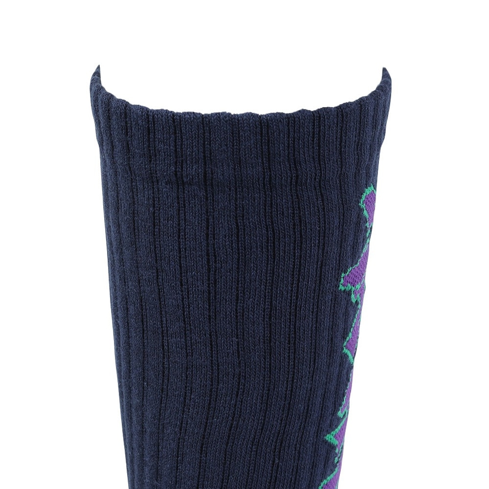 エクストララージ（XLARGE）（メンズ）GRAFFITI ロゴ ソックス 101241054010-NAVY