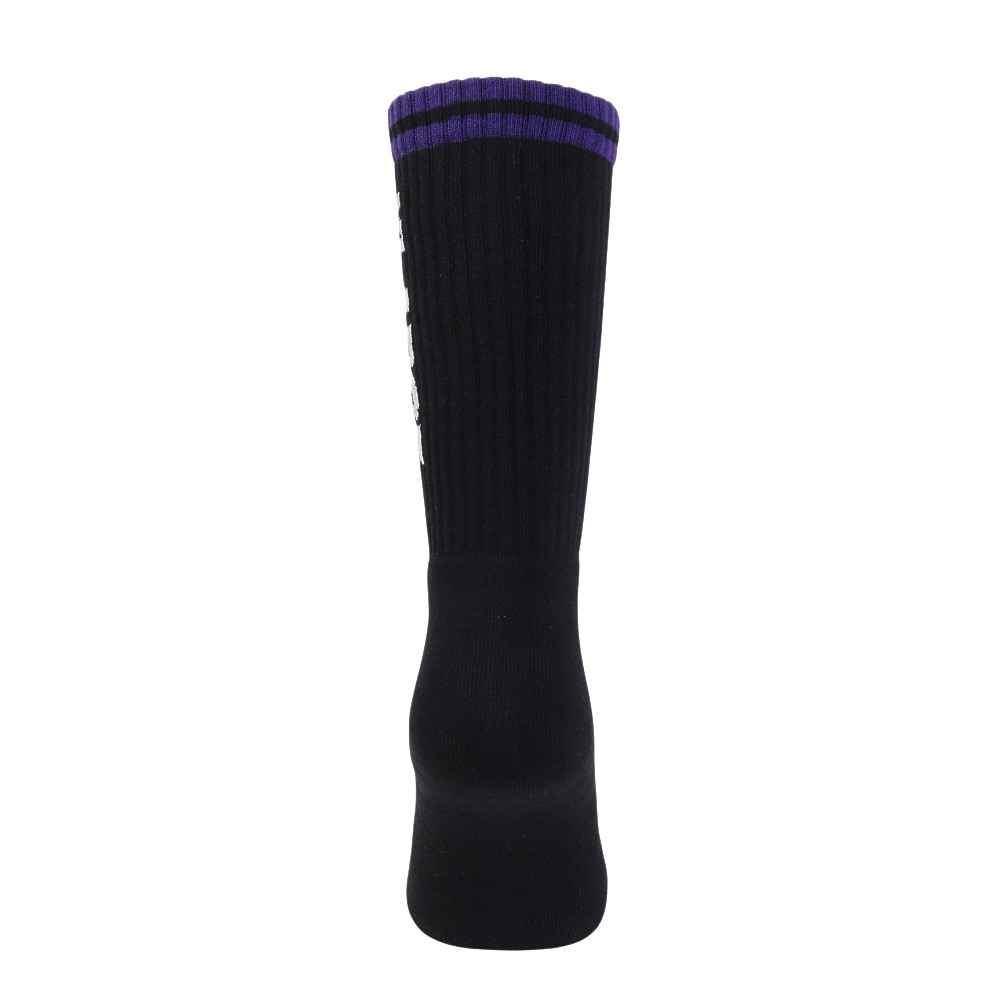 エクストララージ（XLARGE）（メンズ）CONTRAST STRIPED STANDARD ロゴ ソックス 101242054007-BLACK