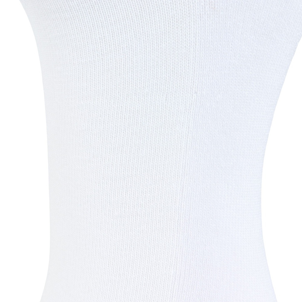 エクストララージ（XLARGE）（メンズ）CONTRAST STRIPED STANDARD ロゴ ソックス 101242054007-WHITE