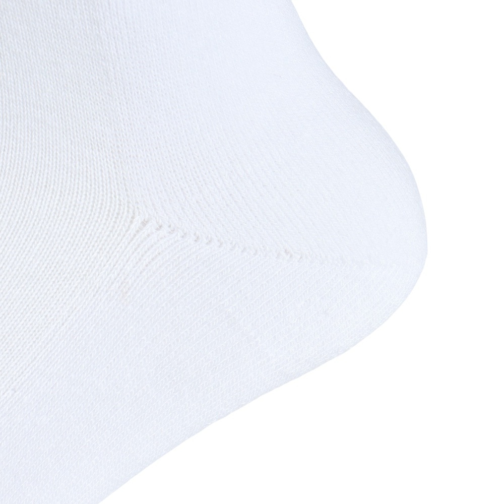 エクストララージ（XLARGE）（メンズ）CONTRAST STRIPED STANDARD ロゴ ソックス 101242054007-WHITE