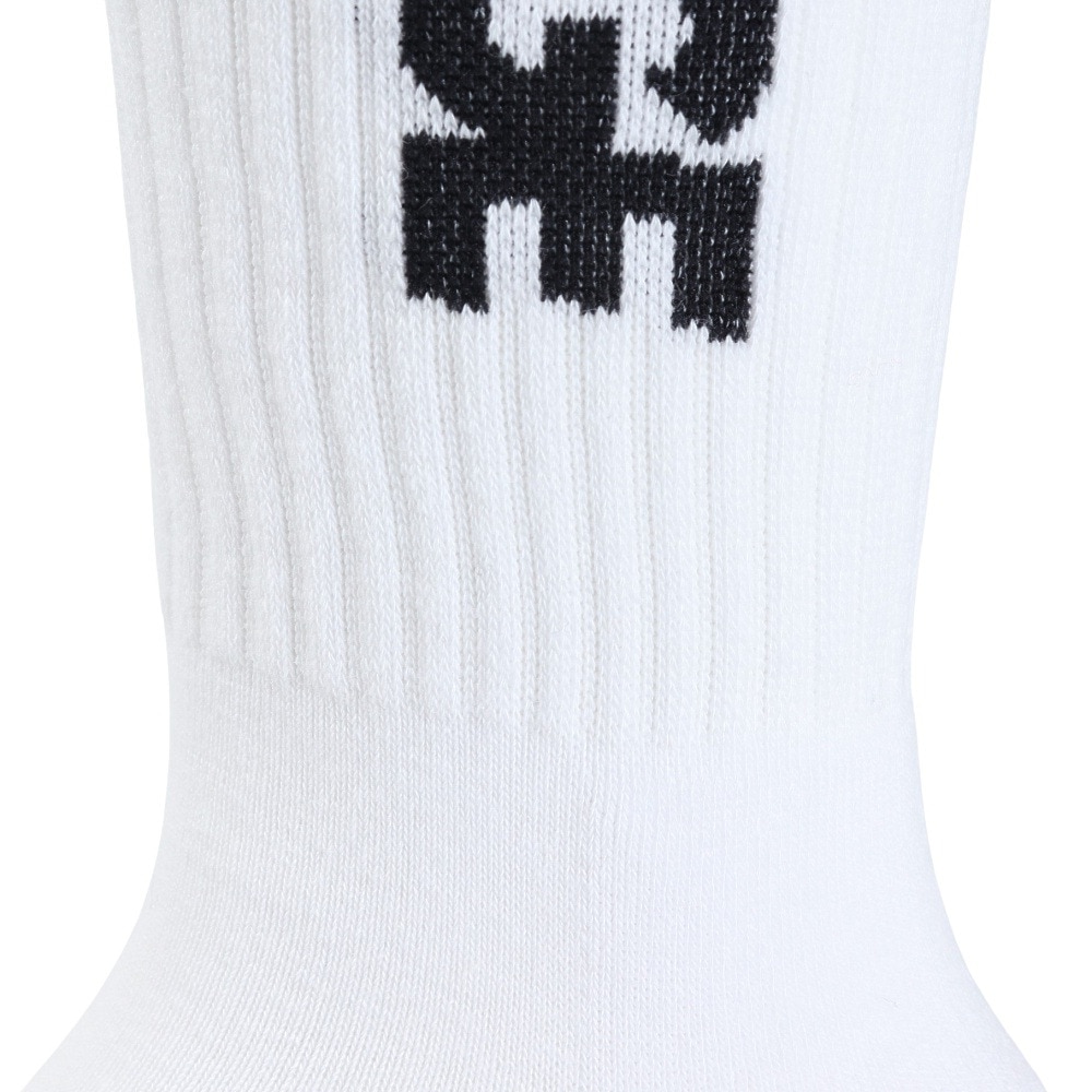 エクストララージ（XLARGE）（メンズ）CONTRAST STRIPED STANDARD ロゴ ソックス 101242054007-WHITE