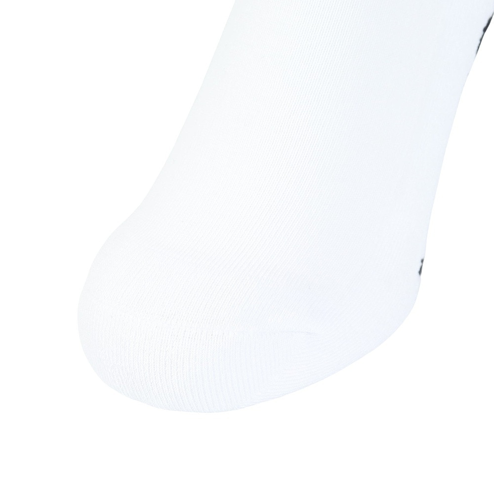 エクストララージ（XLARGE）（メンズ）BARBED ワイヤーロゴ ソックス 101242054009-WHITE