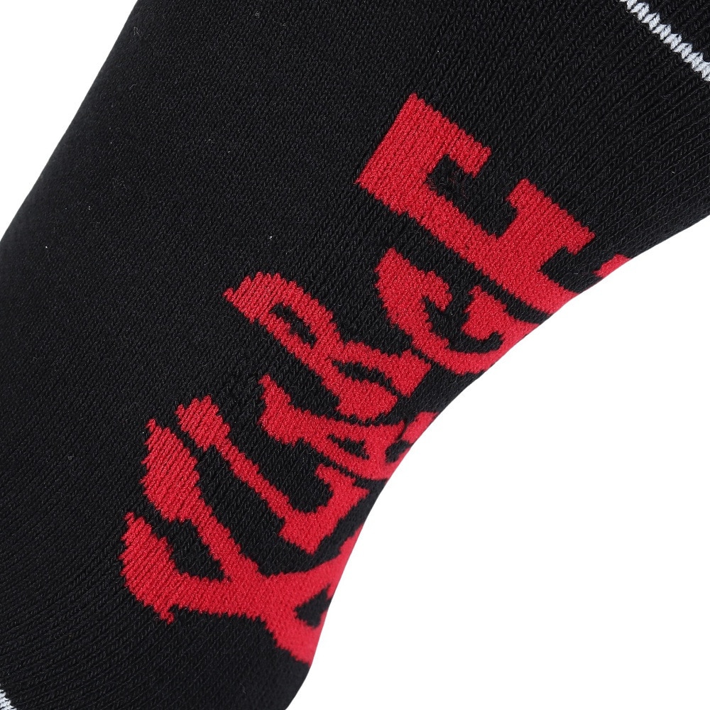 エクストララージ（XLARGE）（メンズ）RADIO ソックス 101242054010-BLACK