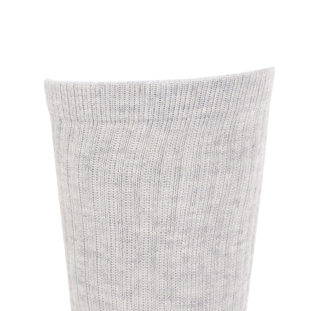 エクストララージ（XLARGE）（メンズ）スモール ロゴ EMB ソックス 101242054011-ASH