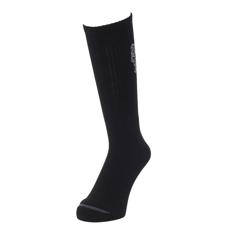 エクストララージ（XLARGE）（メンズ）OLD ENGLISH EST.91 ソックス 101243054002-BLACK