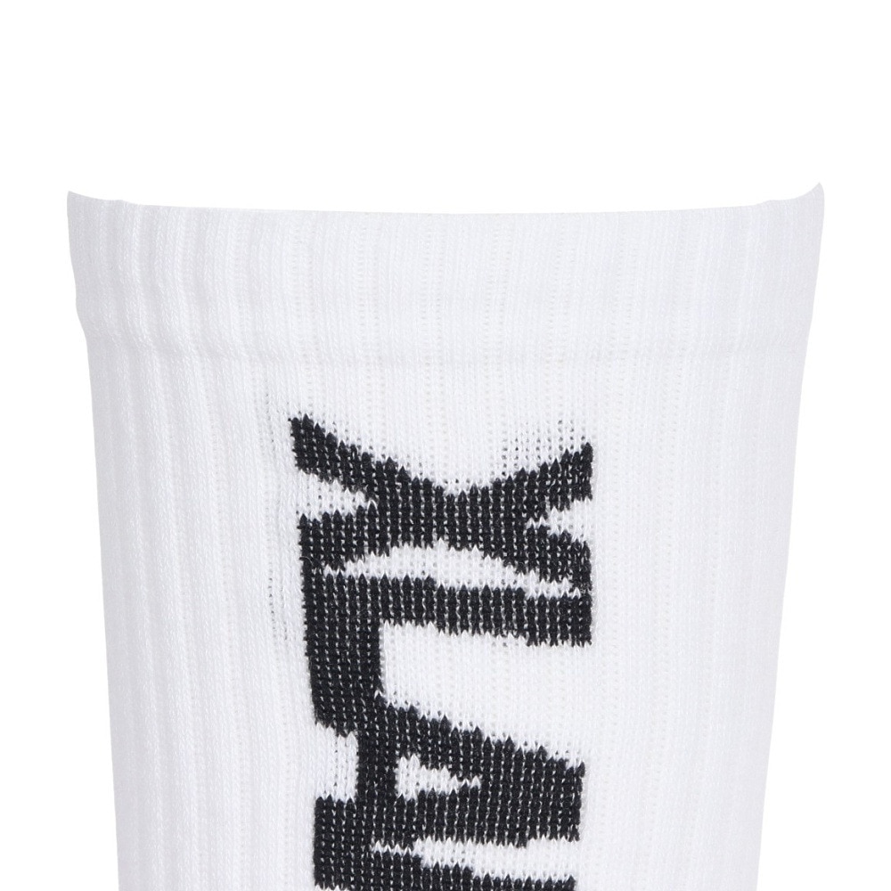エクストララージ（XLARGE）（メンズ）スタンダード ロゴ ソックス 101251054004-WHITE