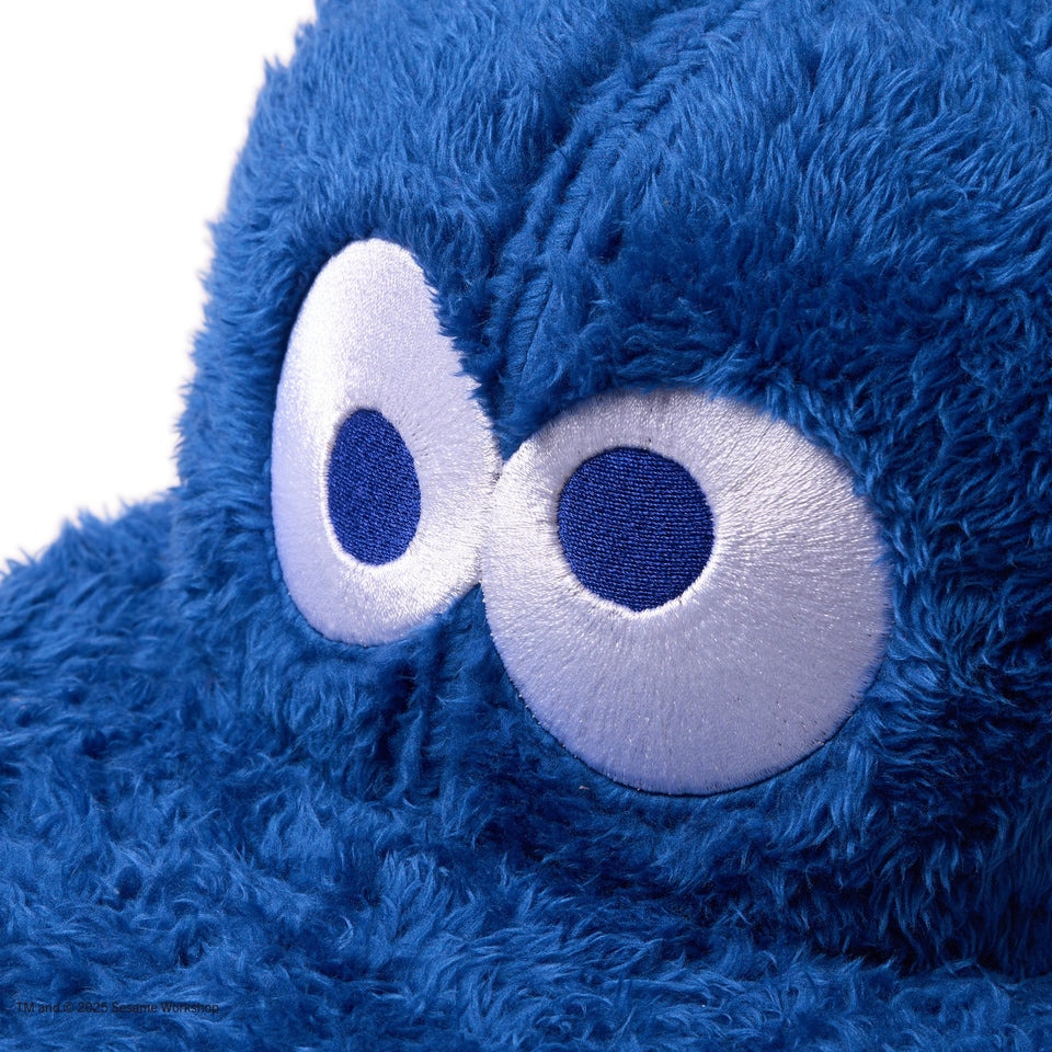 クッキーモンスターさん専用 ラッピング無料】【名入れ代込み】SESAME STREET セサミストリート