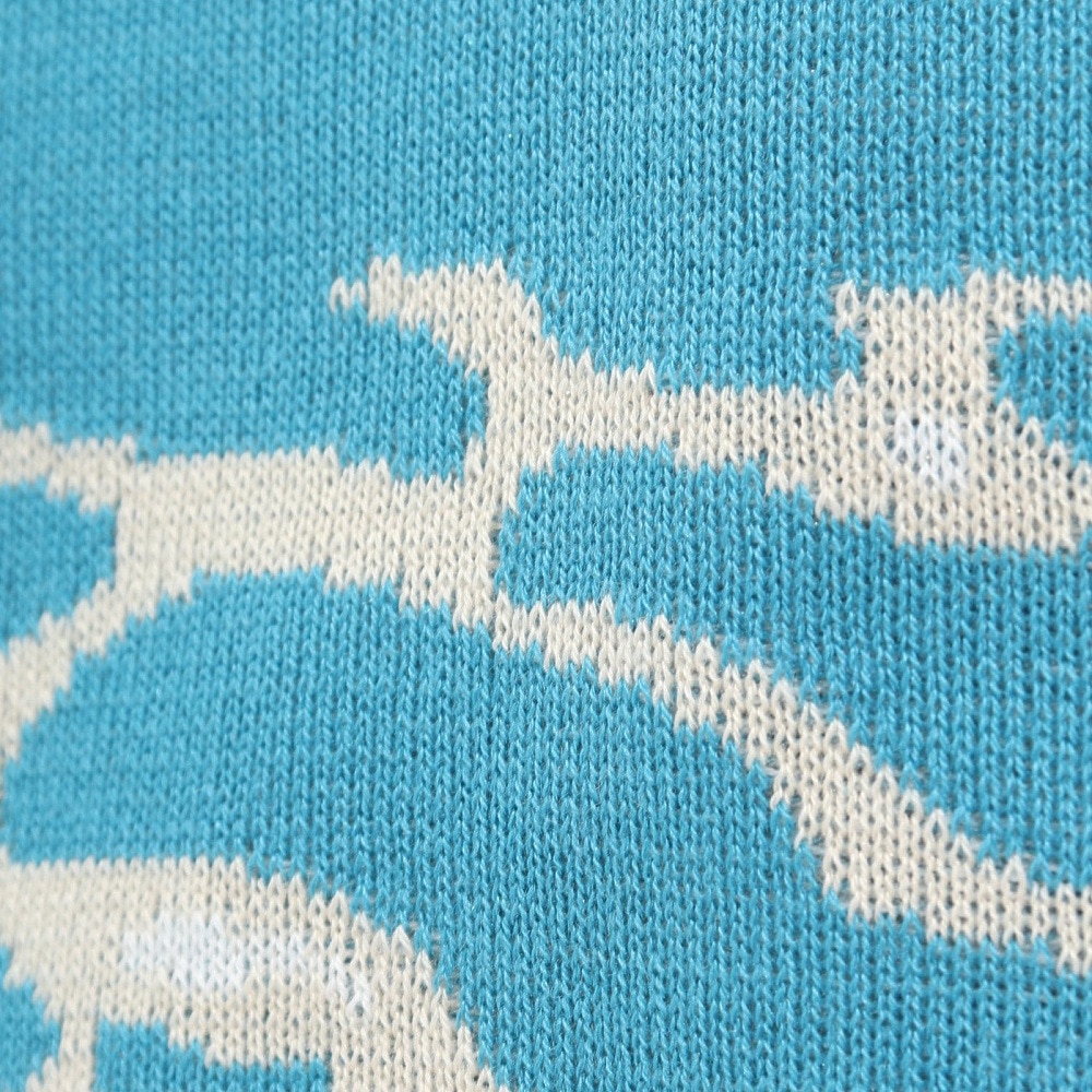 マナスタッシュ（MANASTASH）（メンズ）ニット帽 リチウムバラクラバ 792-3274003 TURQUOI