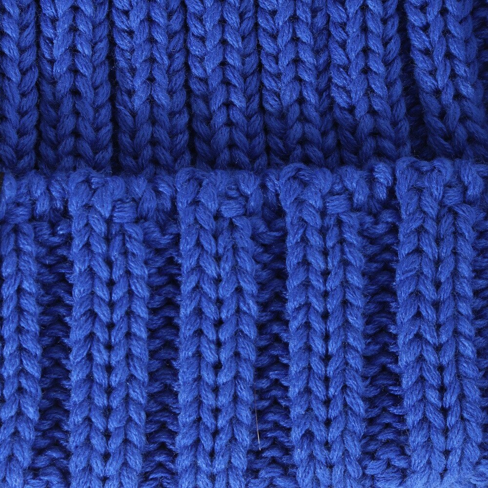 マナスタッシュ（MANASTASH）（メンズ）90S ロゴビーニー 792-3974005 BLUE