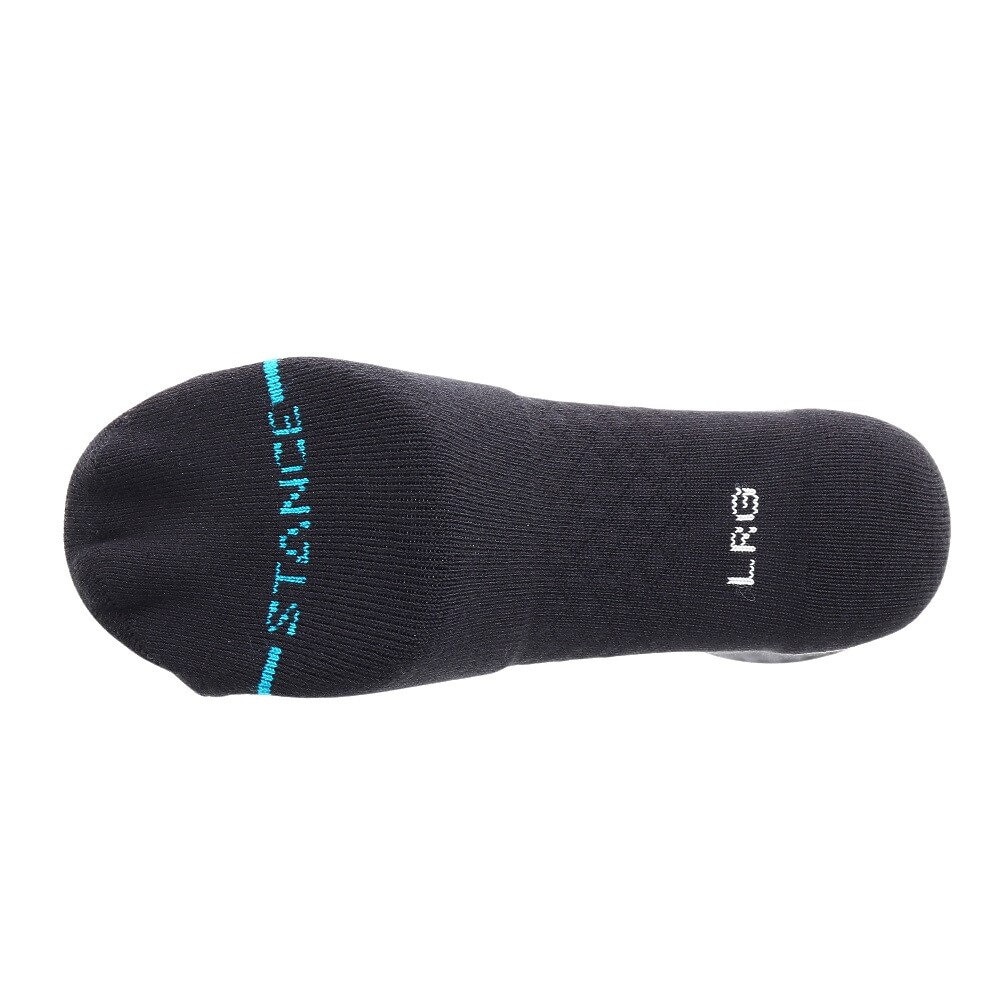 スタンス（STANCE）（メンズ、レディース）ソックス ICON 3足組 M556D18ICP BLK