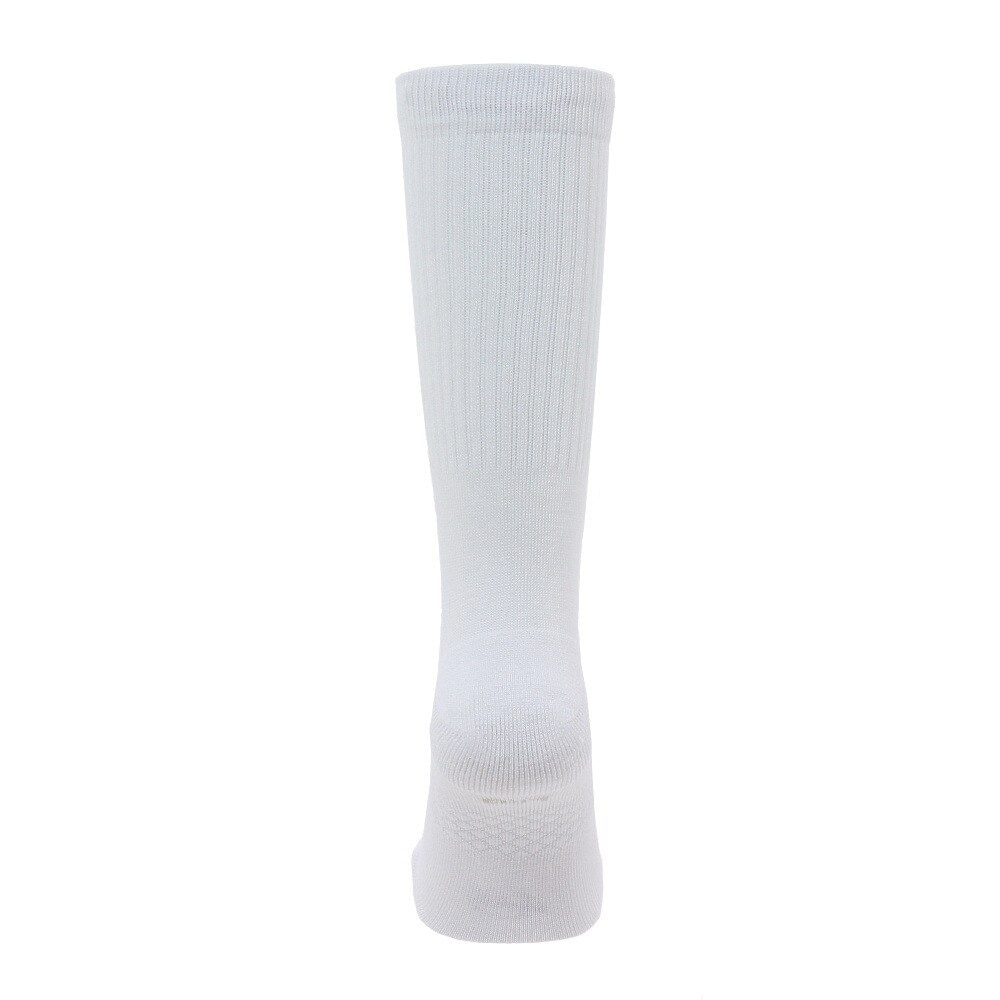 スタンス（STANCE）（メンズ、レディース）ソックス ICON 3足組 M556D18ICP WHT