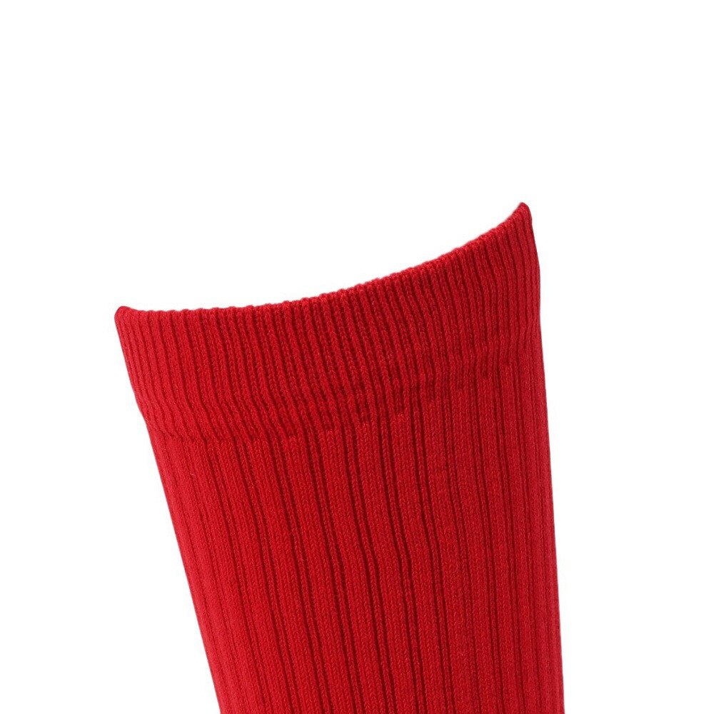 スタンス（STANCE）（メンズ）ICON M311D14ICO RED