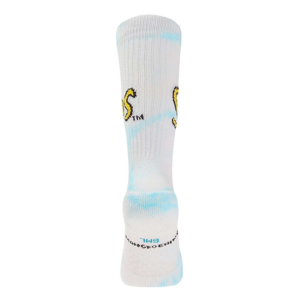 スタンス（STANCE）（メンズ、レディース）INTRO SOCKS ソックス A556A22INT WHT