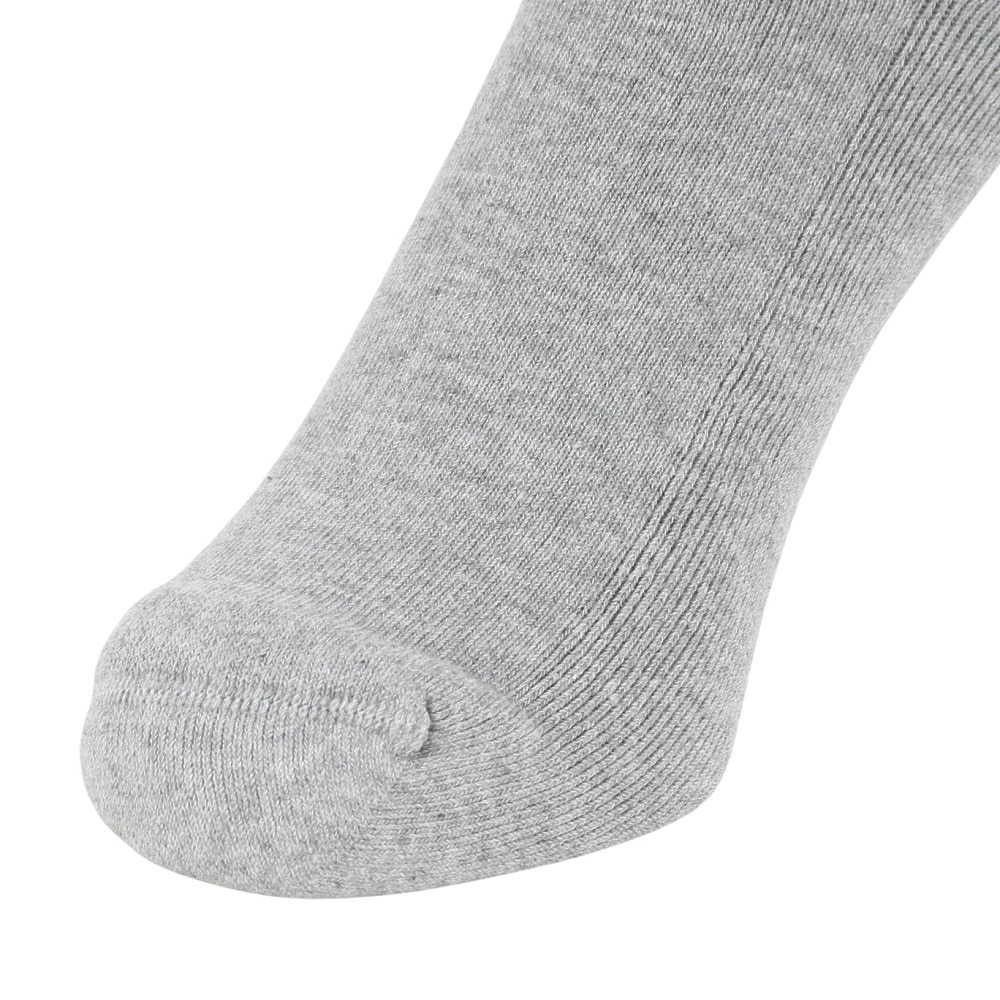 カーハート（CARHARTT）（メンズ、レディース）チェイスソックス I02942100MXX22FW