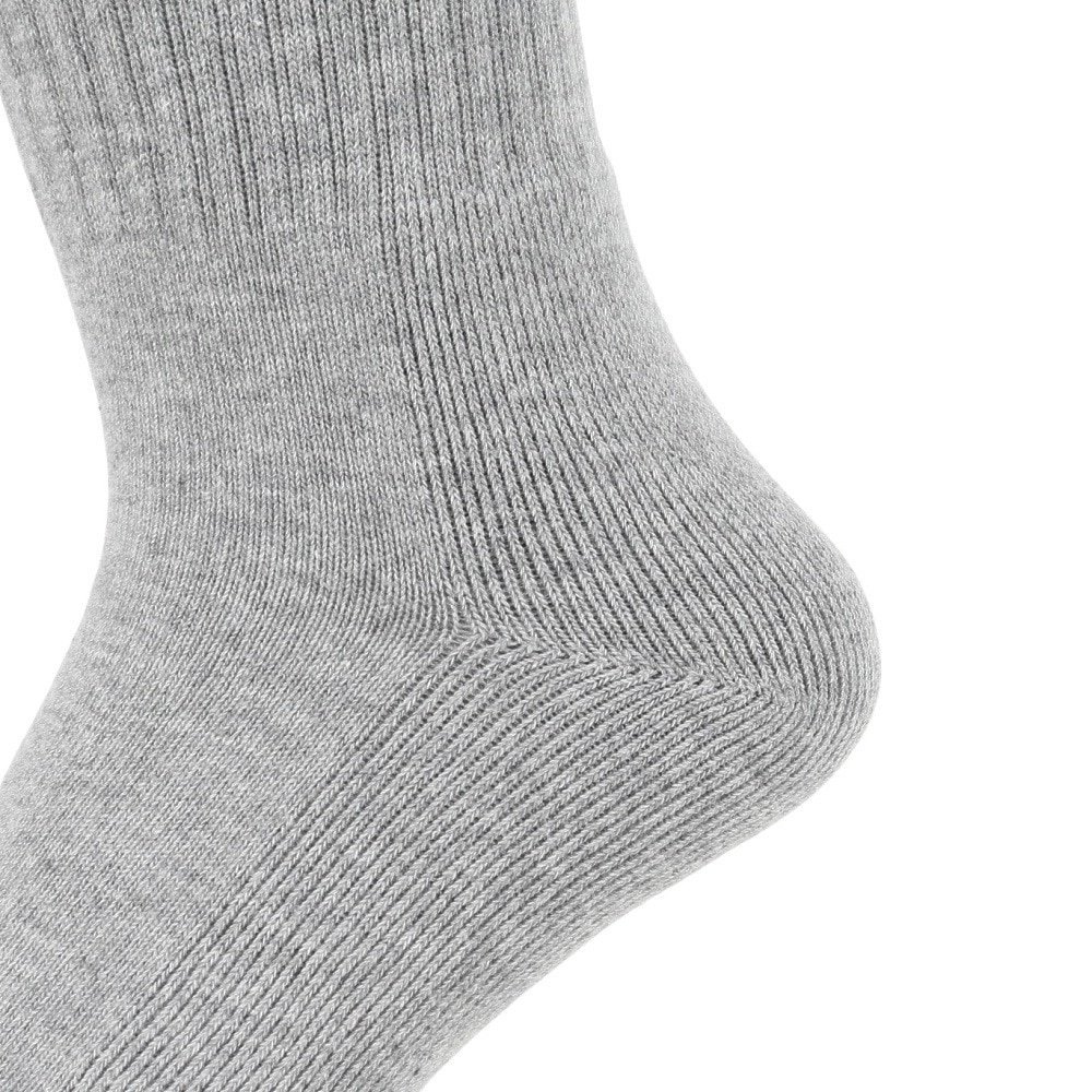 カーハート（CARHARTT）（メンズ、レディース）チェイスソックス I02942100MXX22FW