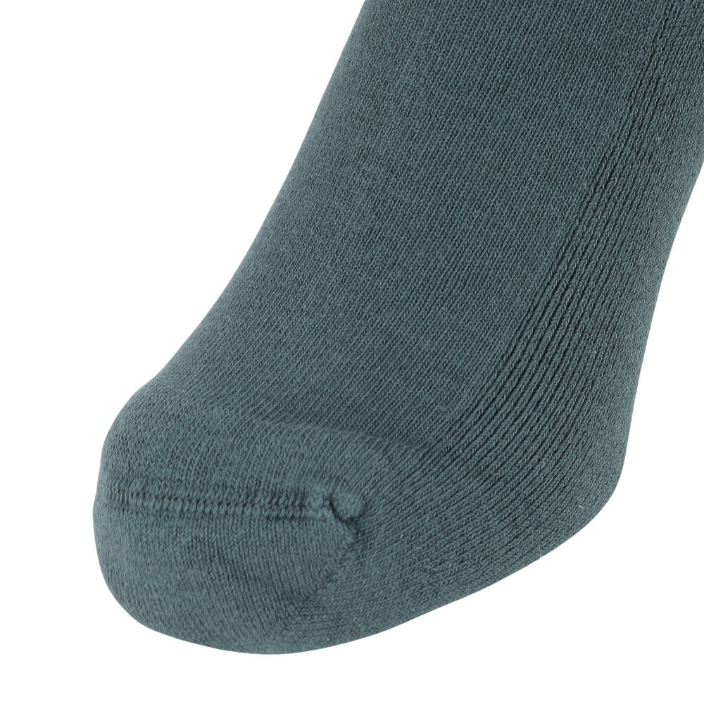 カーハート（CARHARTT）（メンズ、レディース）チェイスソックス I0294210XXXX22FW
