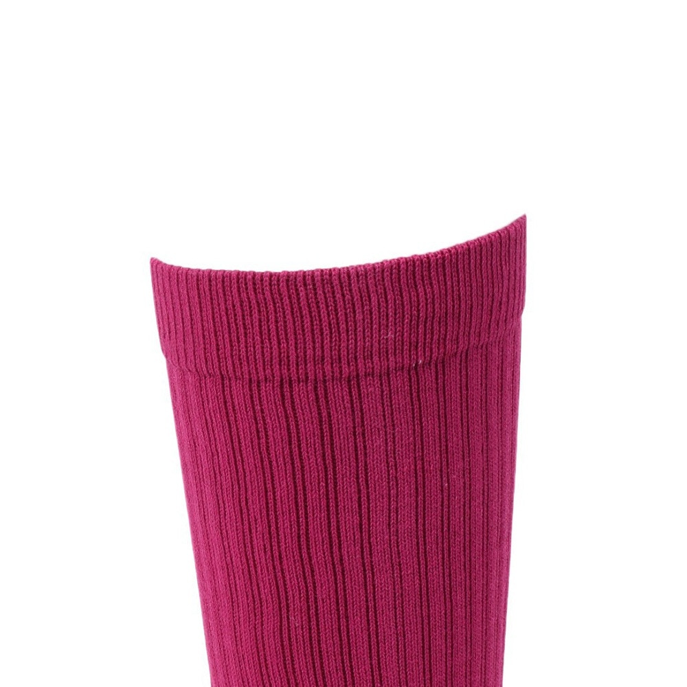 スタンス（STANCE）（メンズ）ICON M311D14ICO MGT