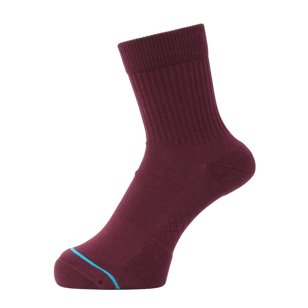 スタンス（STANCE）（メンズ）ICON QTR M356C19ICO PUR