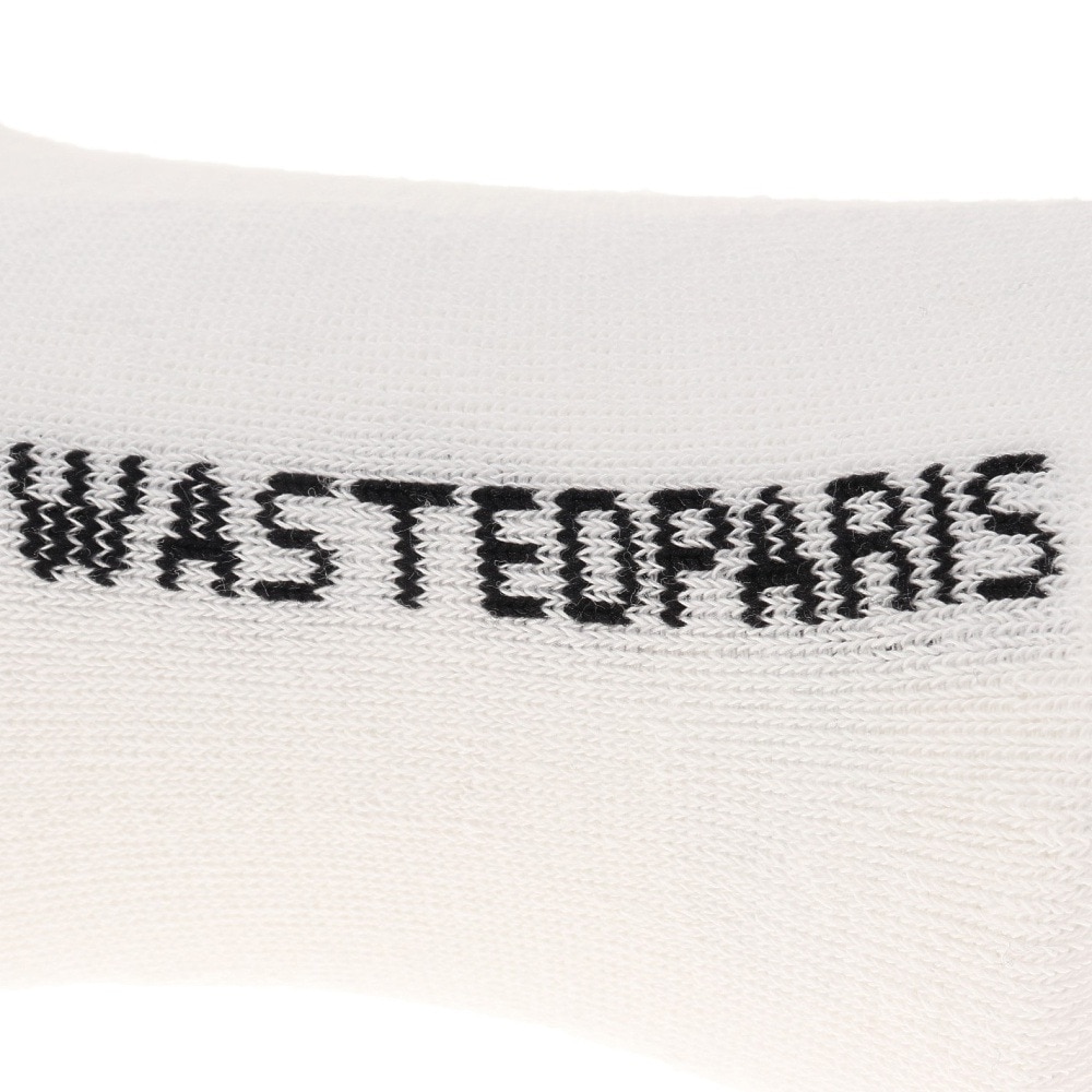 WASTED PARIS（WASTED PARIS）（メンズ）Method ソックス 23SSD3-07215-005-WH