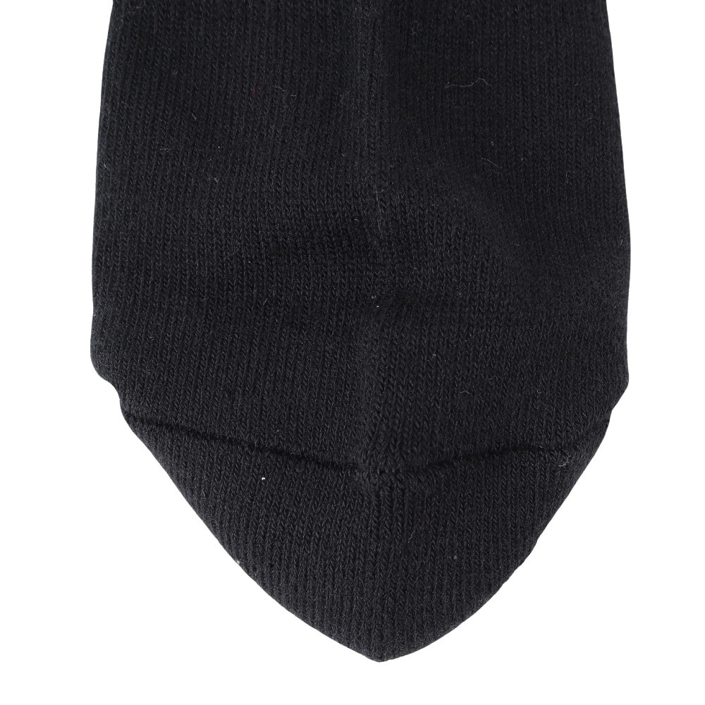 ヘルスニット（Healthknit）（メンズ）バックロゴ ソックス 101-0001-80