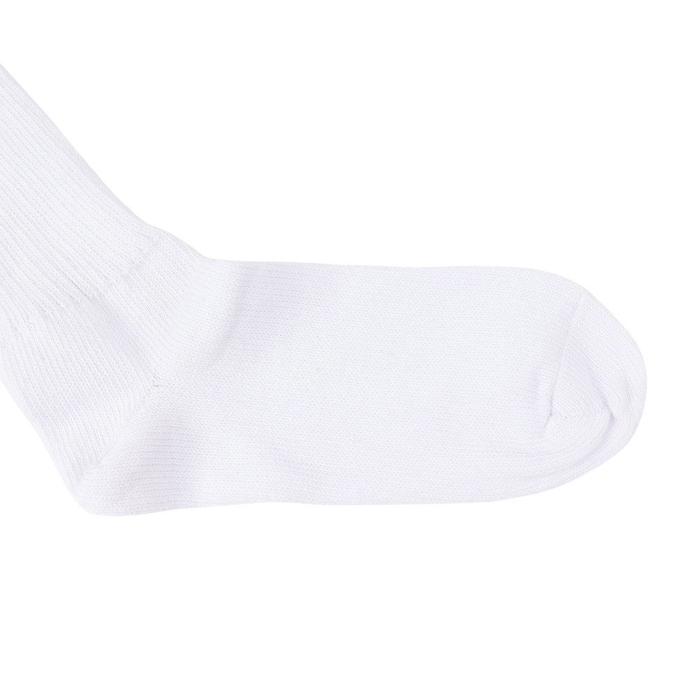 ヘルスニット（Healthknit）（メンズ）2/1リブ ソックス 101-0009-01