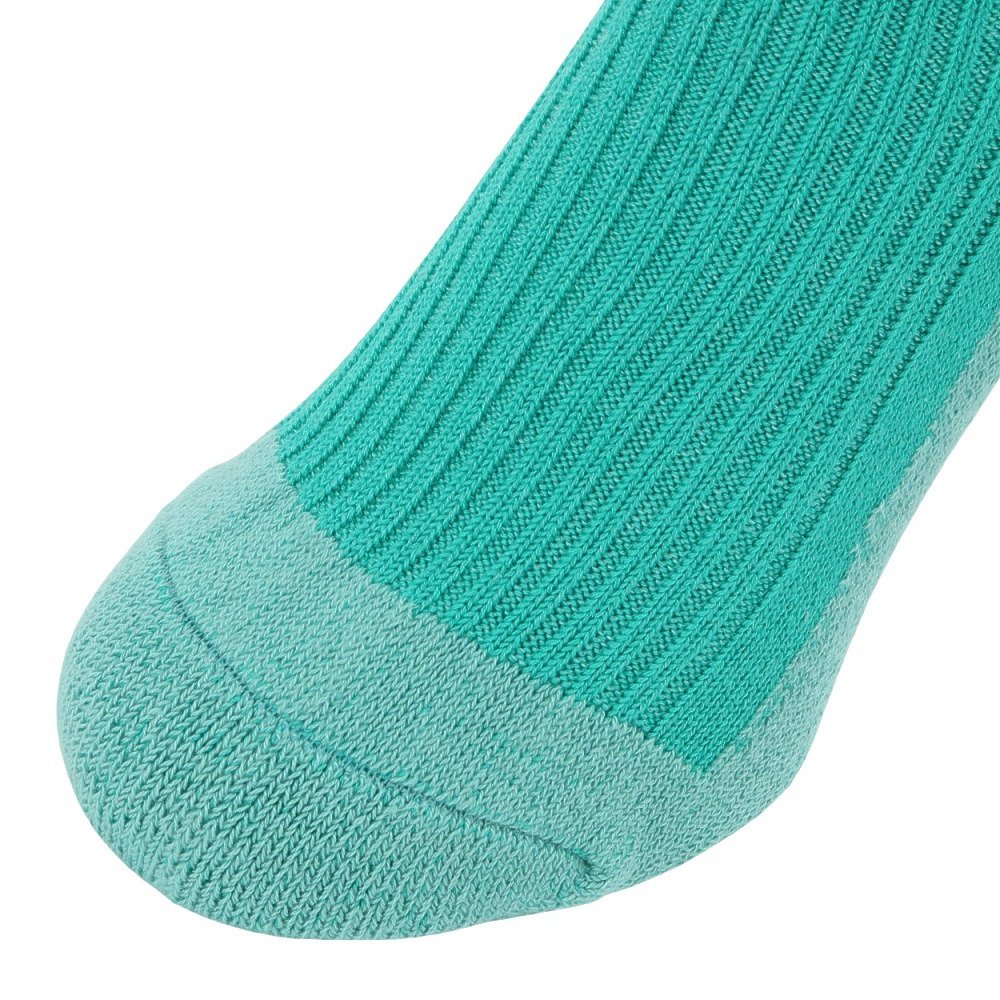 ヘルスニット（Healthknit）（メンズ）リブパイル ソックス 191-8004-32