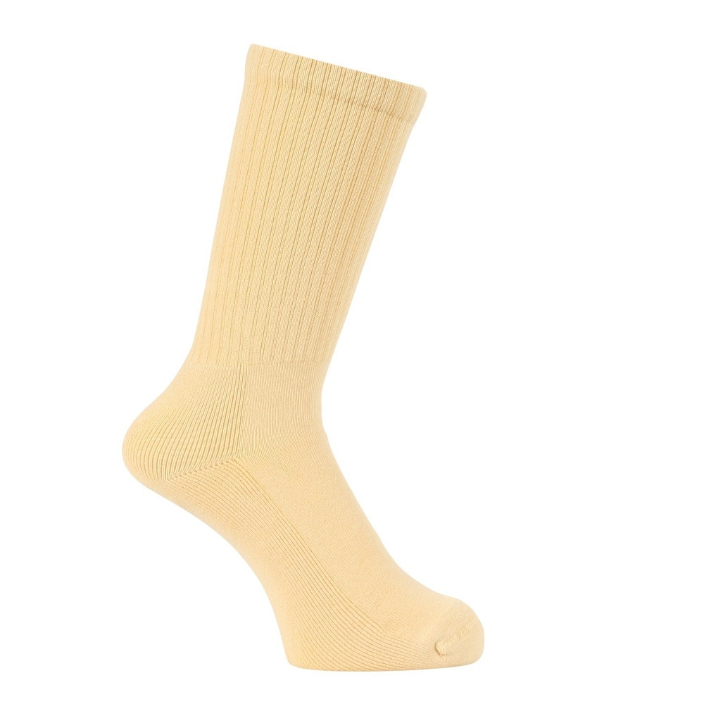カーハート（CARHARTT）（メンズ、レディース）チェイスソックス I0294211NSXX23SS